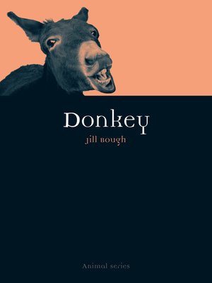 cover image of Donkey